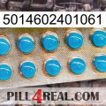 5014602401061 new09
